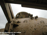 Советский основной боевой танк Т-55 "Enigma",  501e Regiment de Chars de Combat, Mourmelon-le-Grand, France T_55_Enigma_Mourmelon_038