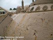 Советский основной боевой танк Т-55 "Enigma",  501e Regiment de Chars de Combat, Mourmelon-le-Grand, France T_55_Enigma_Mourmelon_034