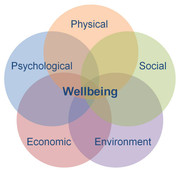 wellbeing_wheel