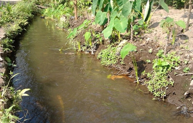 Tempat Seram Di Johor Terkena Penyakit Misteri Akibat Kencing Di Tempat 